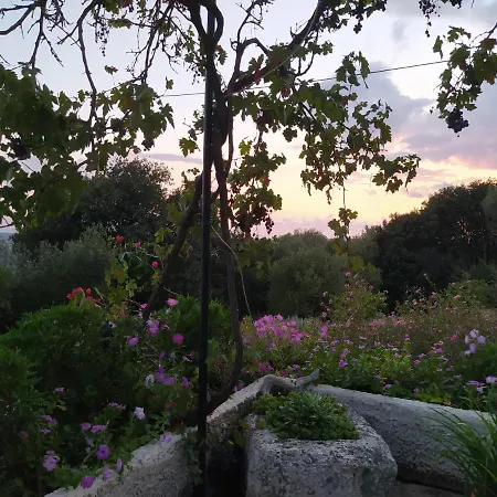 Tsapoula 度假居 莫斯塔