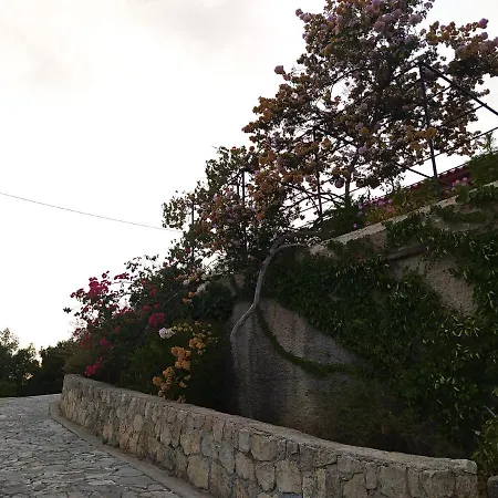 Tsapoula * 莫斯塔