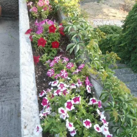 度假居 Tsapoula 莫斯塔