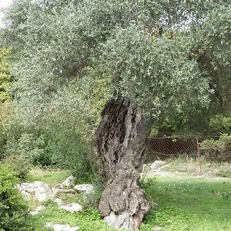 Feriehus Tsapoula Mousata