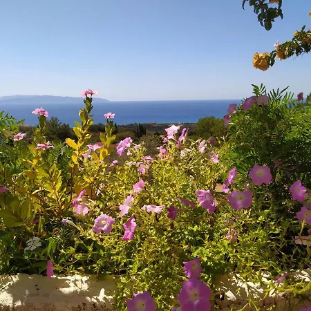 Tsapoula * Мусата