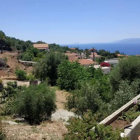 Tsapoula * Мусата