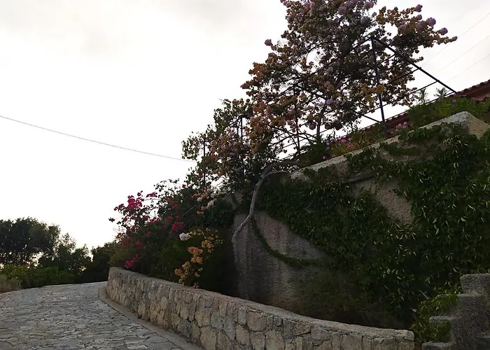 Tsapoula * Mousata
