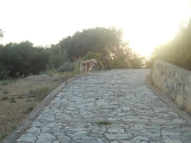 Tsapoula * Mousata
