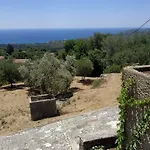 Tsapoula *