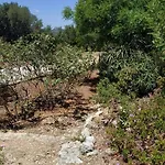 Tsapoula